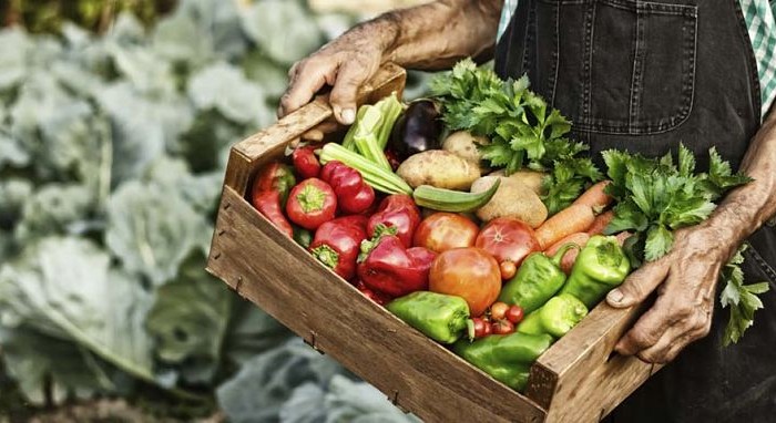 OSTERIE D’ITALIA, L’ABRUZZO PUNTA A FARE DI PIÙ NELLA GUIDA DI SLOW FOOD