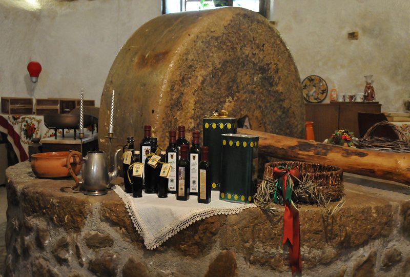 SLOW FOOD, PRESIDI APERTI: A SAN VINCENZO VALLE ROVETO ALLA SCOPERTA DELL’OLIO MONICELLA