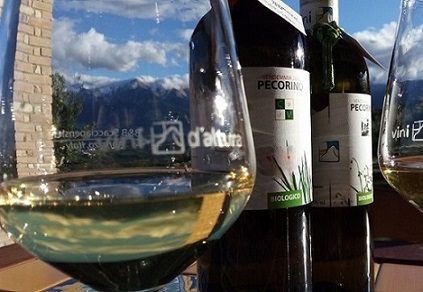 SELEZIONE DI VINI ABRUZZESI IN INVECCHIAMENTO SUL GRAN SASSO