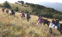 TREKKING SOMEGGIATO, NUOVE ESCURSIONI AD AGOSTO A SANTO STEFANO DI SESSANIO