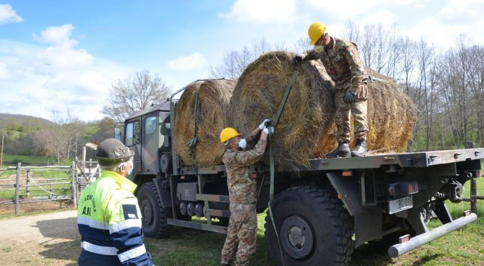 DAGLI ALPINI QUINTALI DI FIENO AL MANEGGIO DI CAPITIGNANO