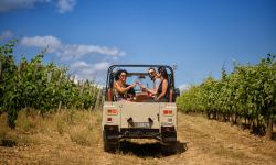 Enoturismo in Italia, il 70 per cento delle cantine non accoglie nel weekend