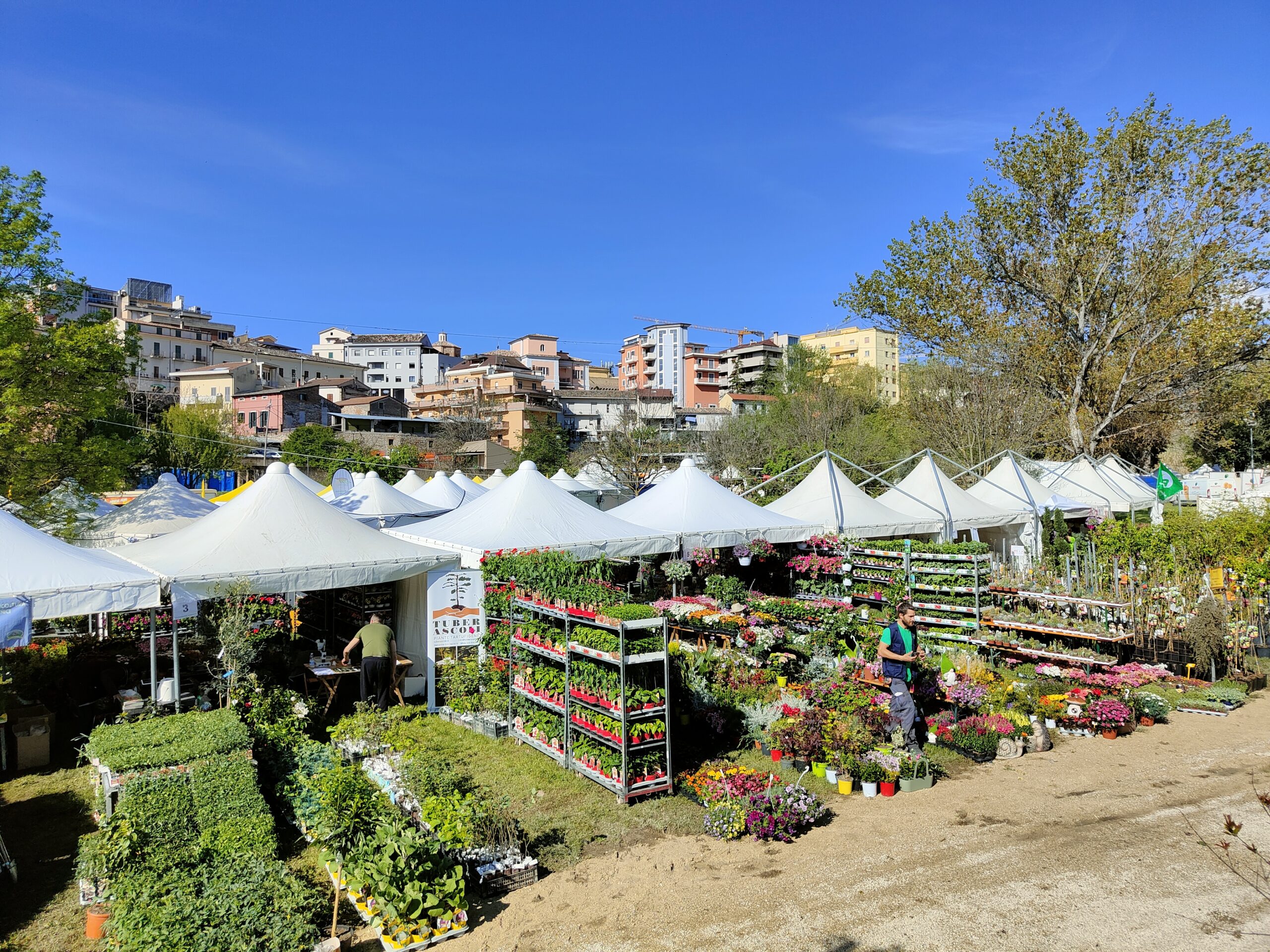 Fiera dell'agricoltura Teramo