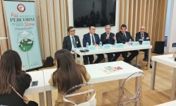 Vinitaly2023 Percorsi