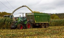 Agricoltura, in Abruzzo 8,8 milioni per interventi a tutela delle attività montane