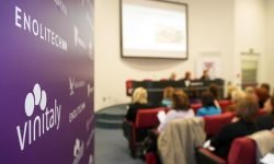 Vinitaly 2024, gli appuntamenti in fiera delle Donne del vino, tra podcast e convegni