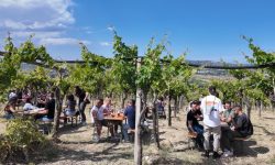 Cantine Aperte, da Centorame una versione young tra miscelazione e buona musica