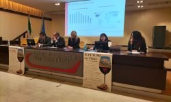 A Teramo “Il futuro del vino”, buona comunicazione e marketing mirato per uno sviluppo più efficace